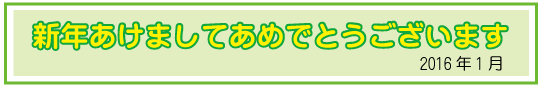 新年あけましておめでとうございます