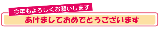 2017　新年あけましておめでとうございます